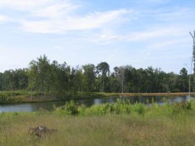 One of the three ponds